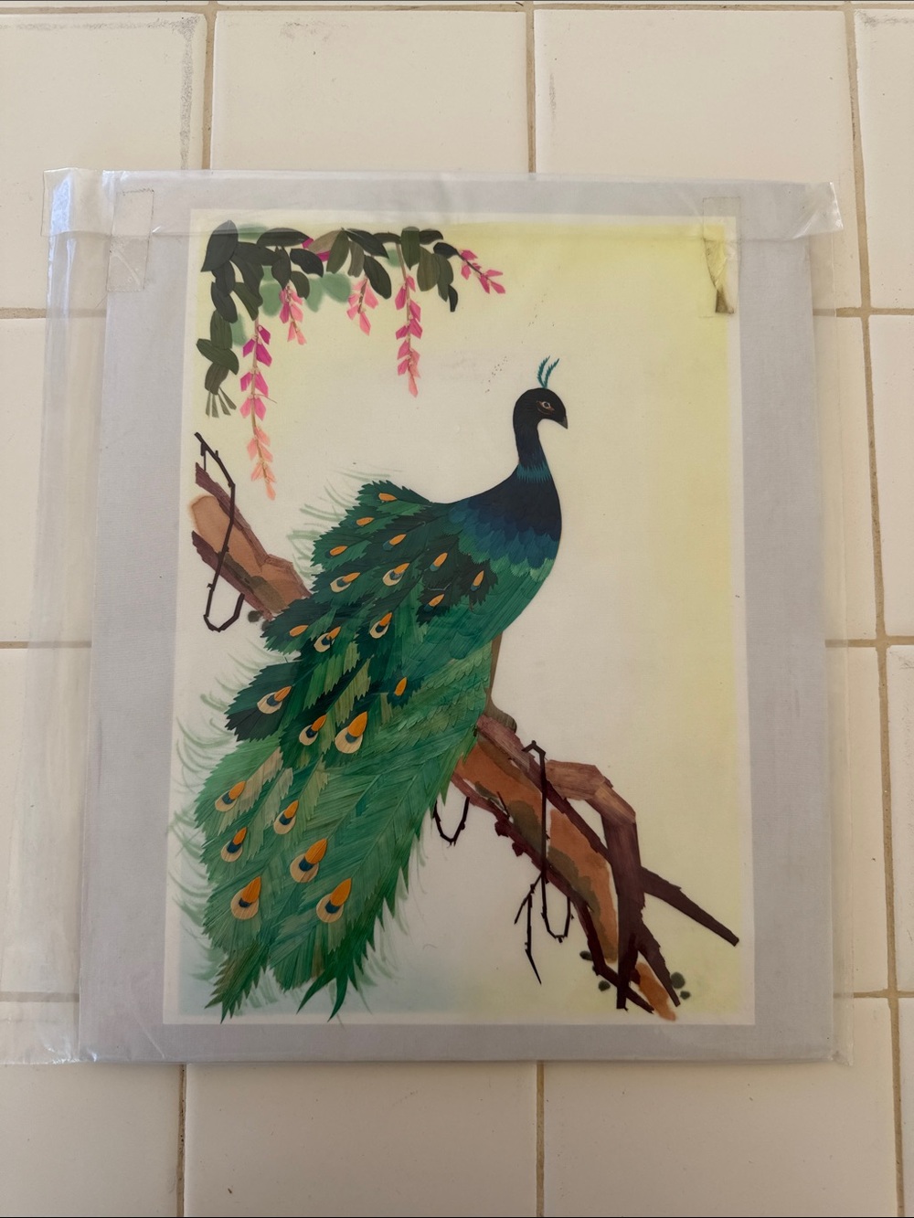 Peacock Wall Art Print - Green